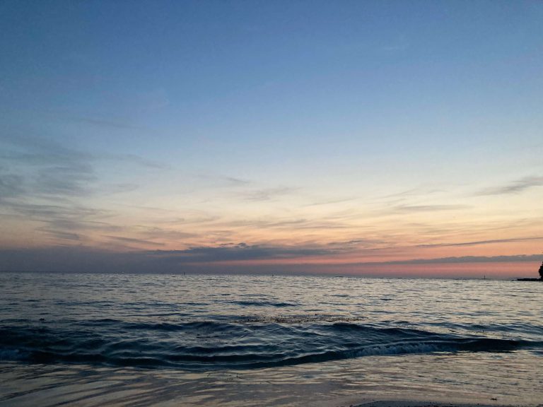 入社半年が経ちました！