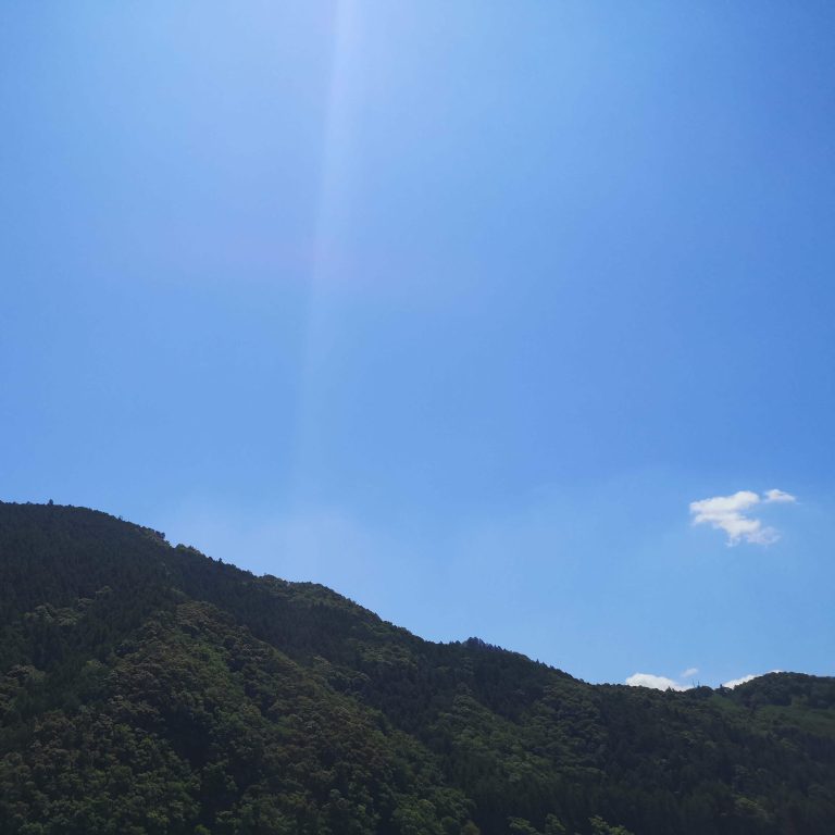 夏が来る…！！！