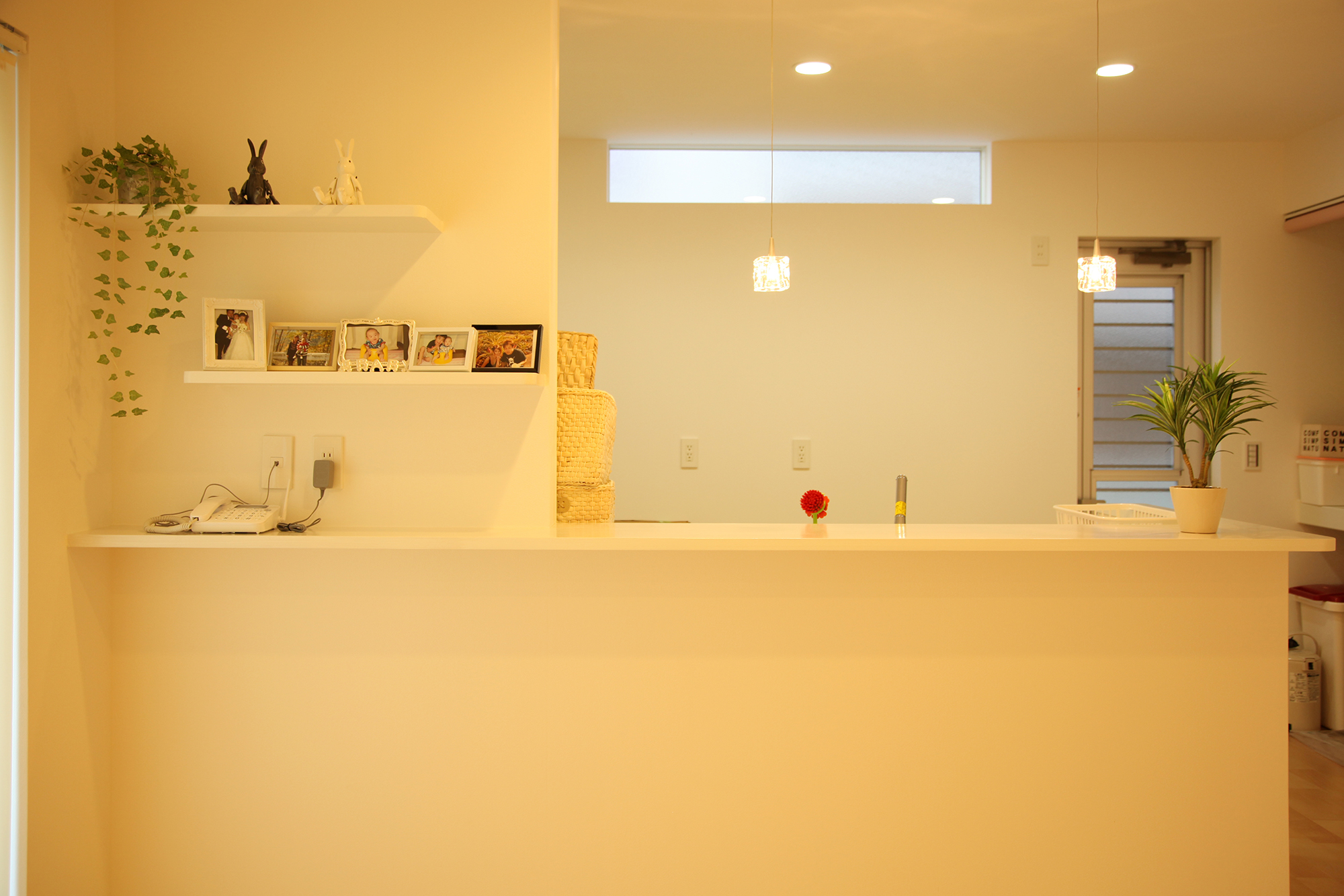 ネイビーカラーのガルバリウム鋼板の平屋