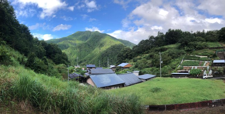 感謝しかないです。