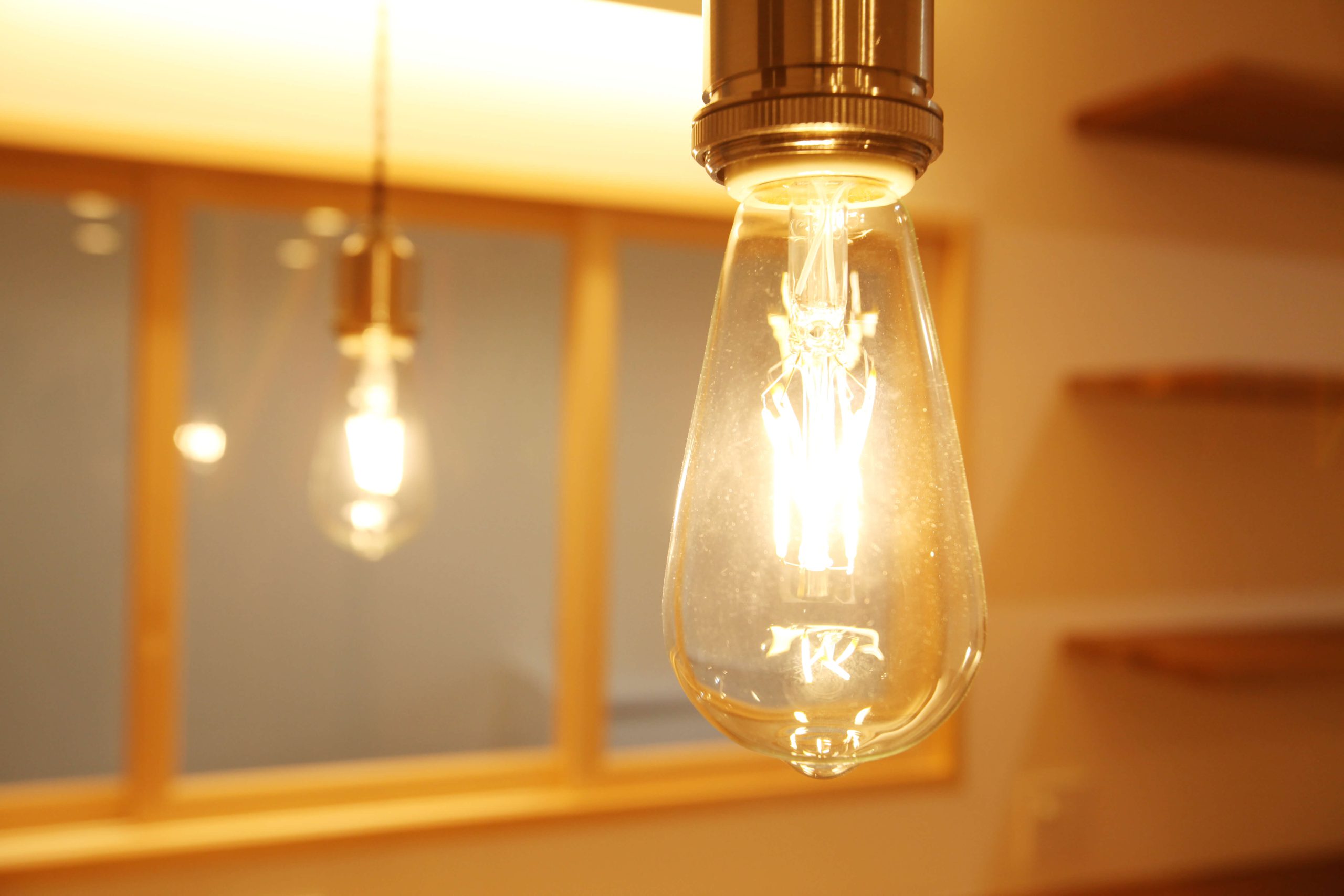 ネイビーカラーのガルバリウム鋼板の平屋