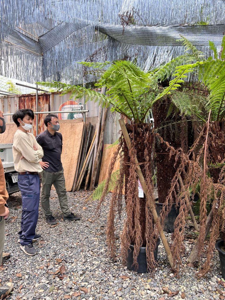 木の魅力に触れました。