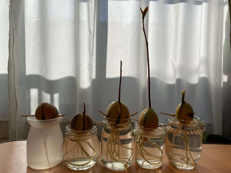 みんなちがって、みんないい。