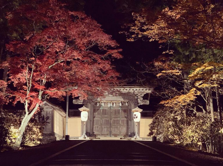 いざ、高野山（紅葉）へ！！