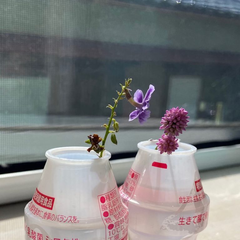 帰り際のプレゼント