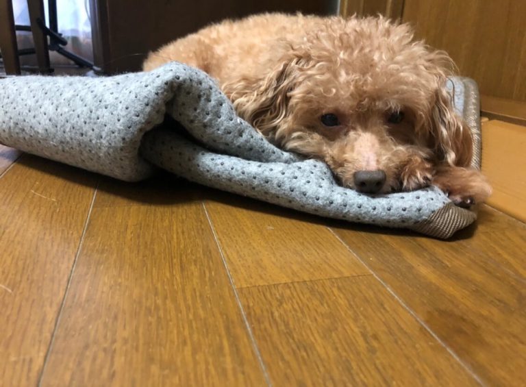 幸せってなにかね