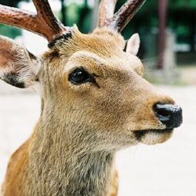 はじめまして！