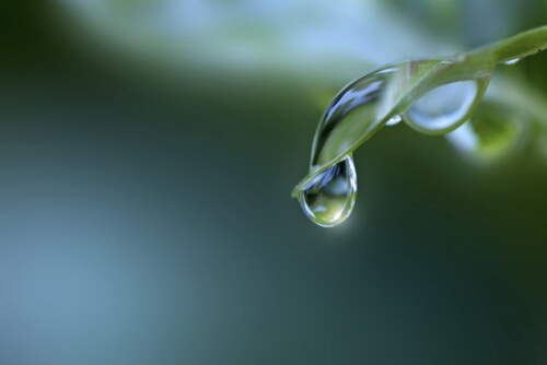 ロマンティックな話