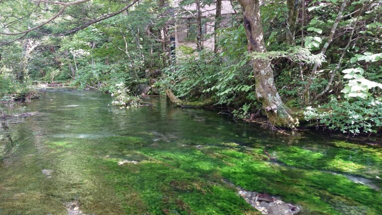 『勢力拡大中？』