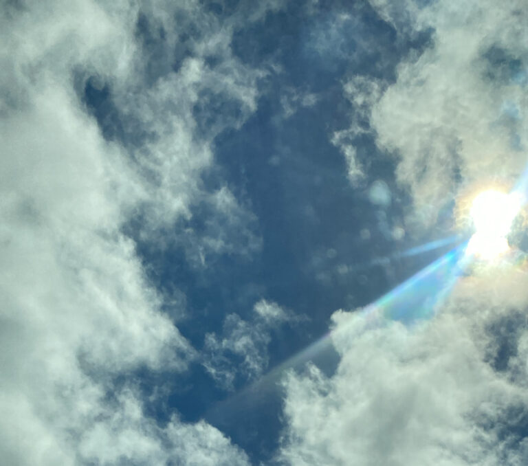 母のブームから得た想い （エドブログ）