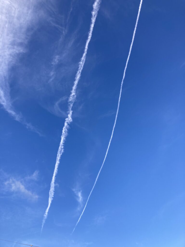 本日も晴天なり(´▽｀)