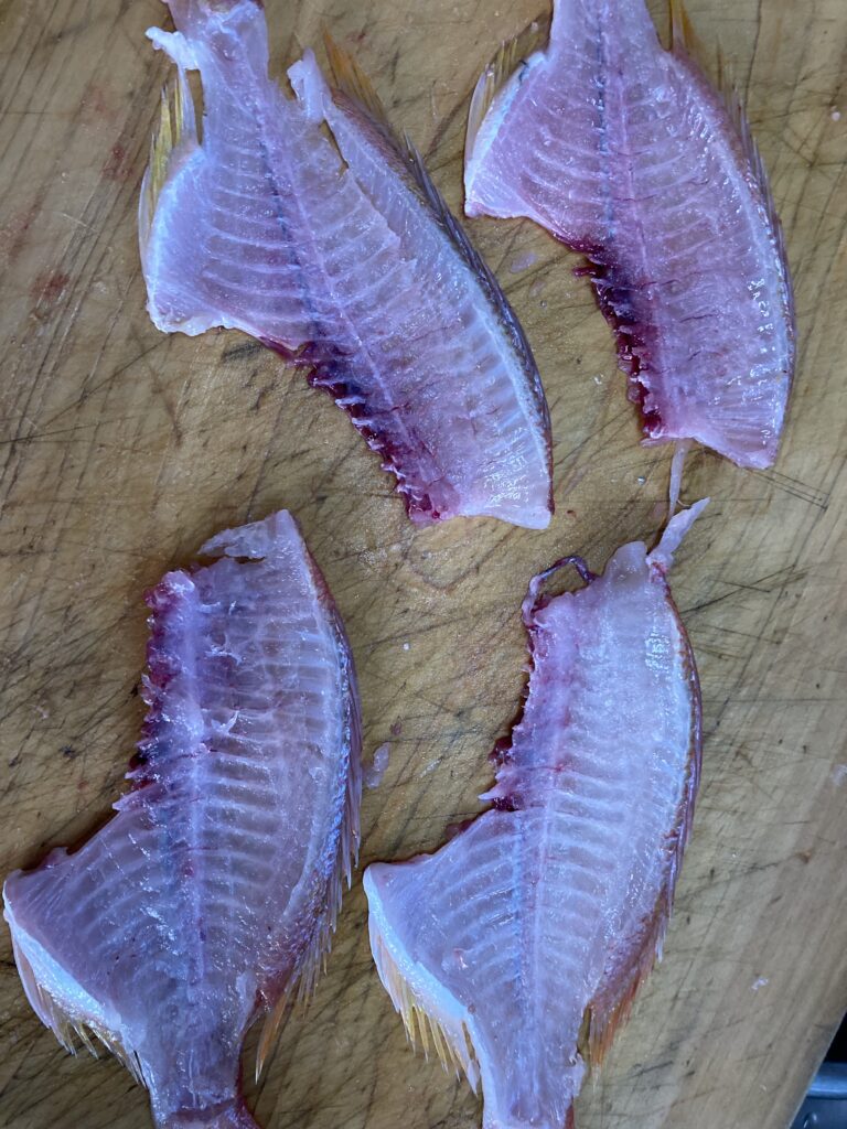 『今年一年の振り返り』