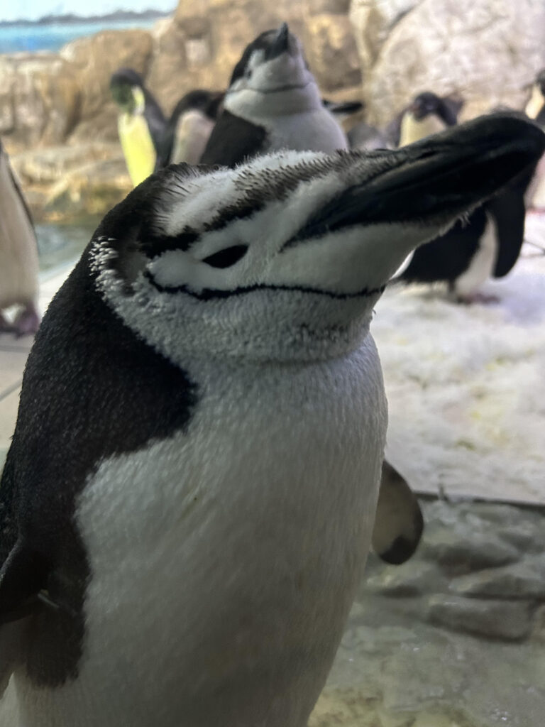 🍒佐藤のお出かけ日記7