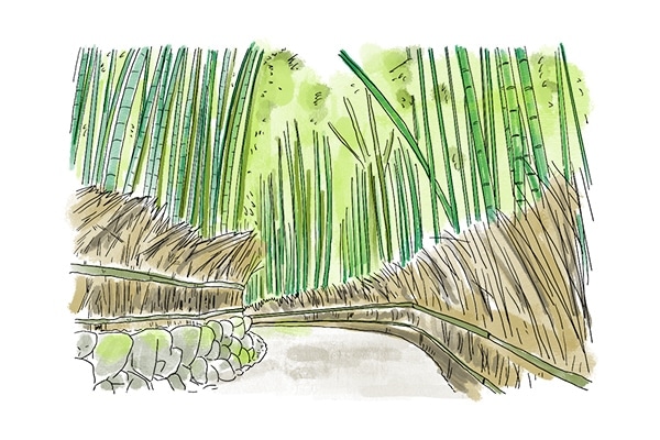 山本家の旅行①