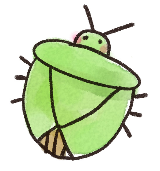 甥っ子とカメムシ