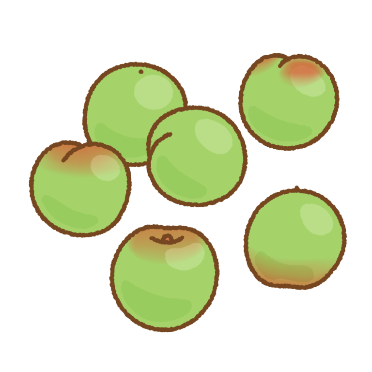 初めての梅干し作り！