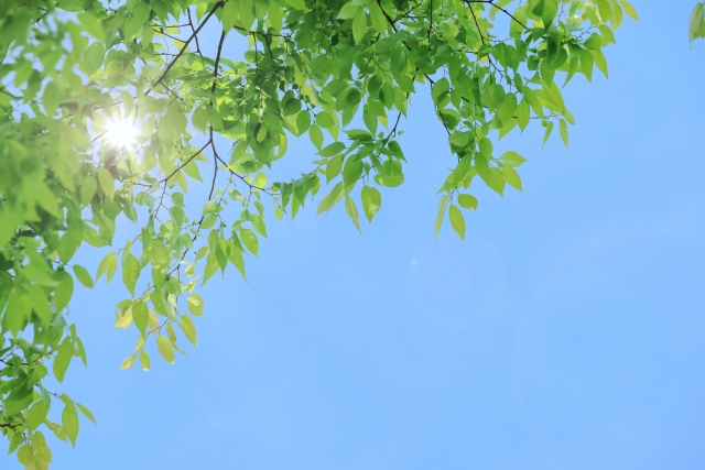 夏季休業のおしらせ
