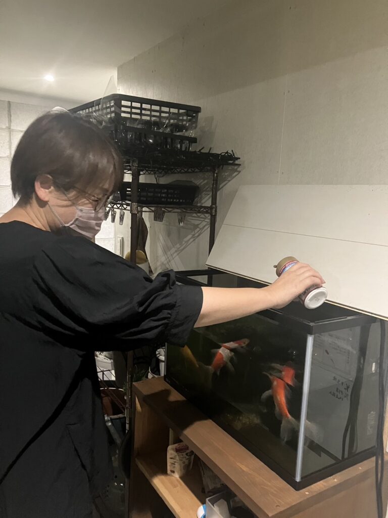 ゆっけさんと金魚