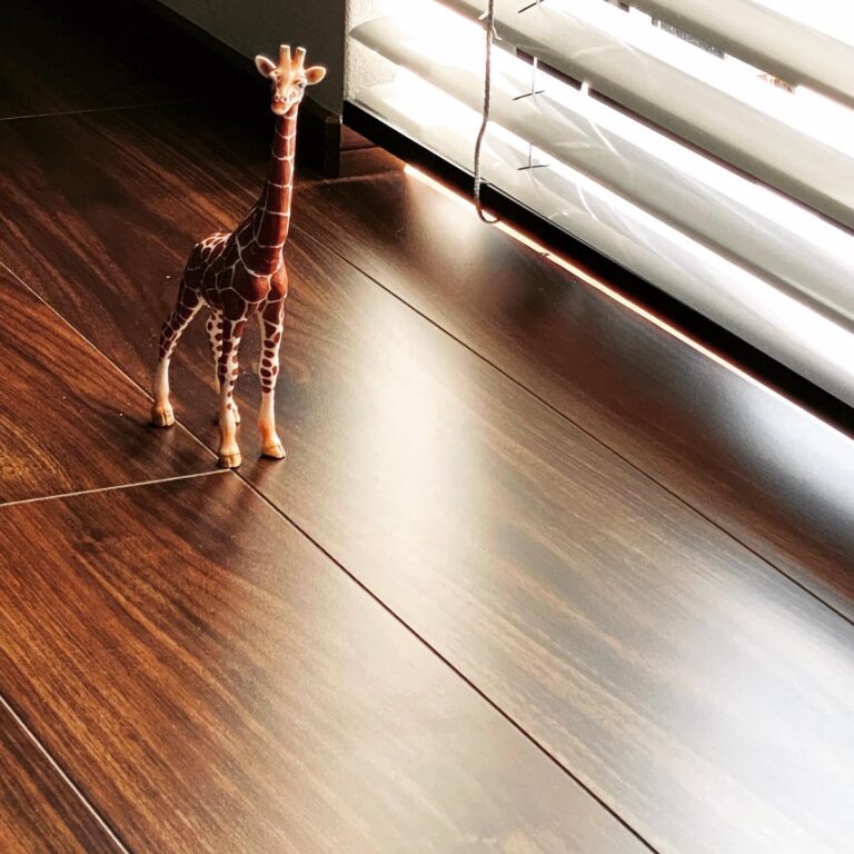 高垣の日々、日々。～至福の撮影会～