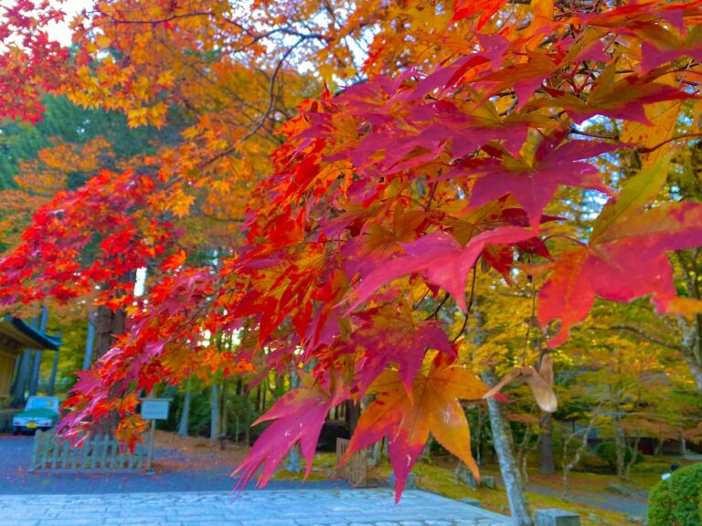 エドのオタク日記　秋