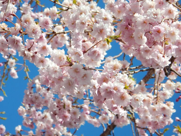 あの季節が近づいてきました！