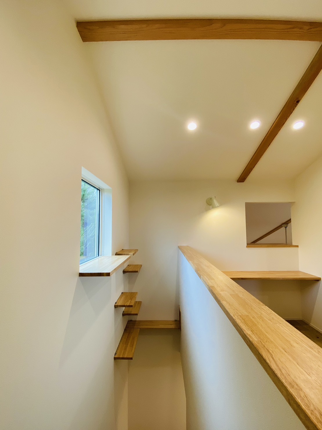 ネイビーカラーのガルバリウム鋼板の平屋