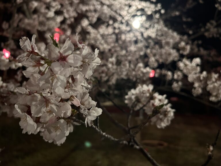 佐藤のお出かけ日記30🍒