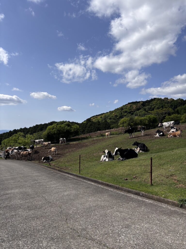 エドのオタク日記