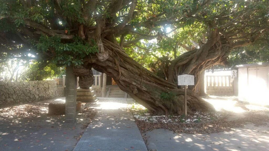 TAKEちゃんの あちこち町散策12 – 美浜町三尾